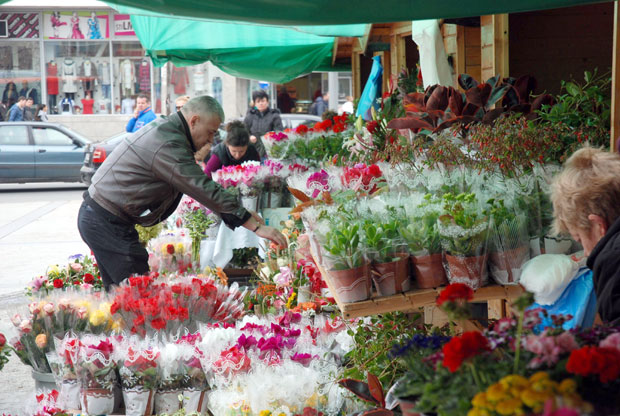 Крушевљанке освајају град